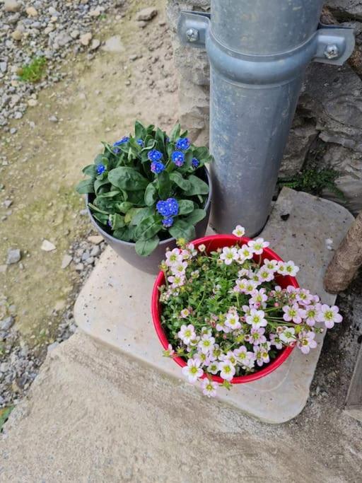 Appartement De La Laiterie Avec Petit Jardin. Eysus Extérieur photo